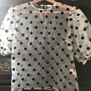 New York & Co Sheer Top in Polka Dot